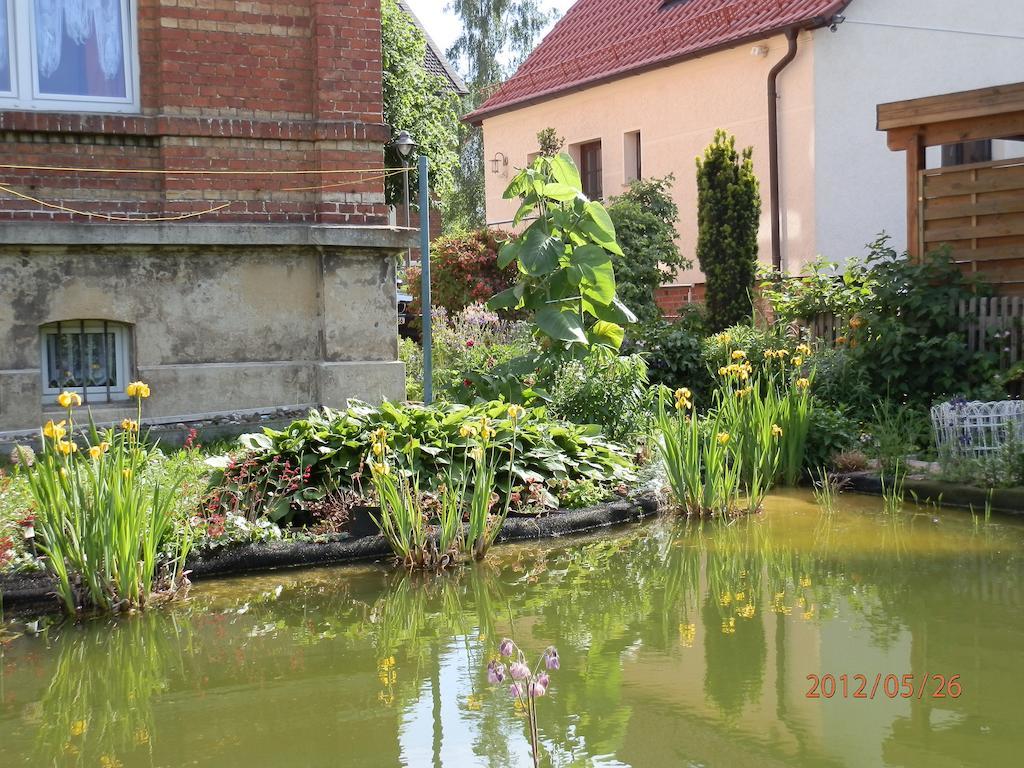 Ferienwohnung Fedler Blankenburg  Zimmer foto
